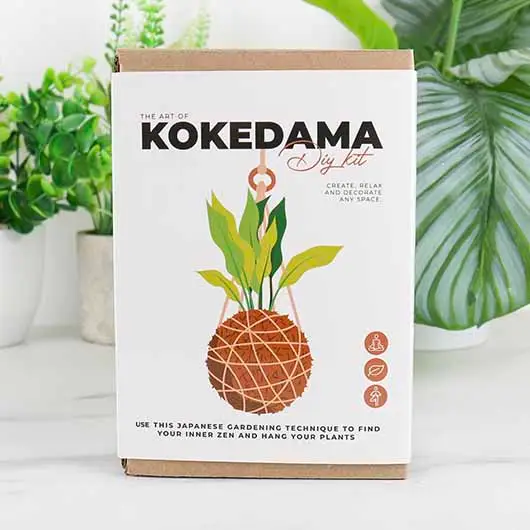 The Art of Kokedama - Diy Kit