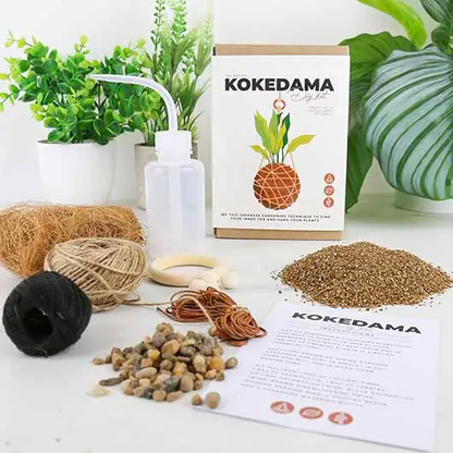 The Art of Kokedama - Diy Kit